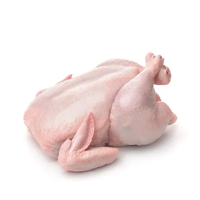 Broiler Chicken Skin