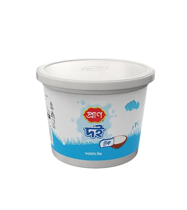 PRAN Sour Curd 500 gm